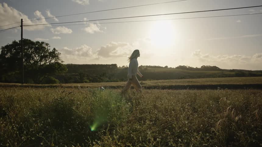 A person walks through a field of tall grass while a small dog runs nearby all silhouetted against a bright sun that hangs above a rolling rural landscape with utility lines visible on the left
