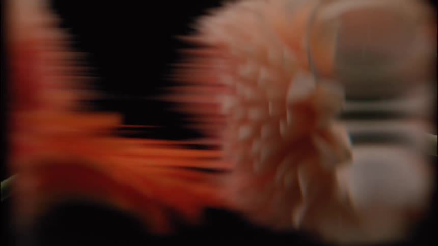 An object is pulled and stretched