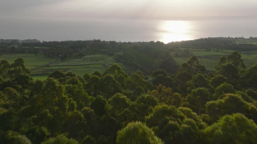 House stands between a stream and the highway running past groves of trees in coastal terrain