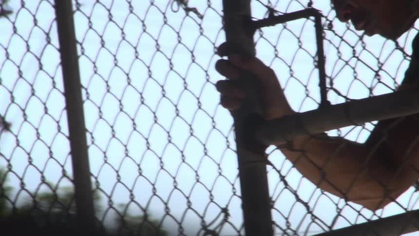 A young man in a sports jersey pushes a chain link gate open and walks through