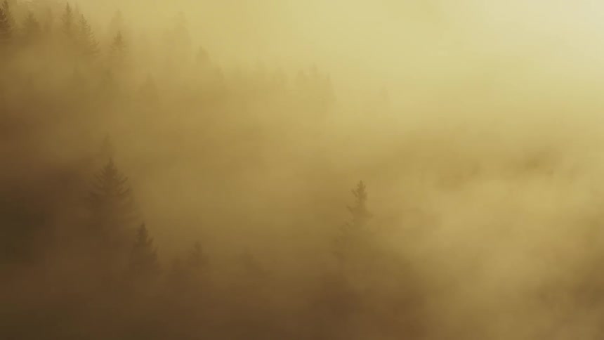 A thick blanket of fog covering a forest the outlines of dark trees are faintly visible within the goldenyellow haze and the environment is entirely obscured by the dense atmosphere
