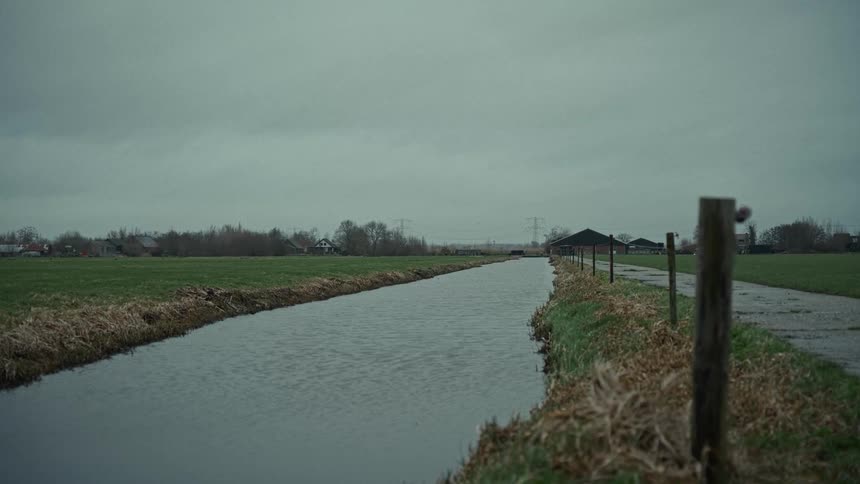 A small creek is by the field
