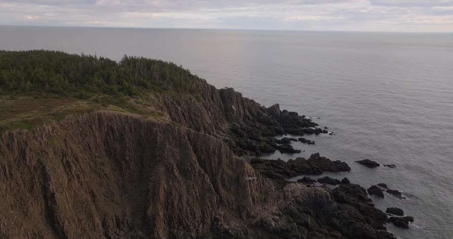 Coastal landscape with steep cliffs dark rocks and forested top under partly cloudy sky