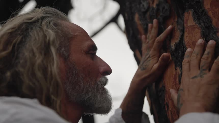 A close profile view shows an older man with long gray hair and a beard wearing a white shirt placing his tattooed hands on the textured reddish brown bark of a tree trunk