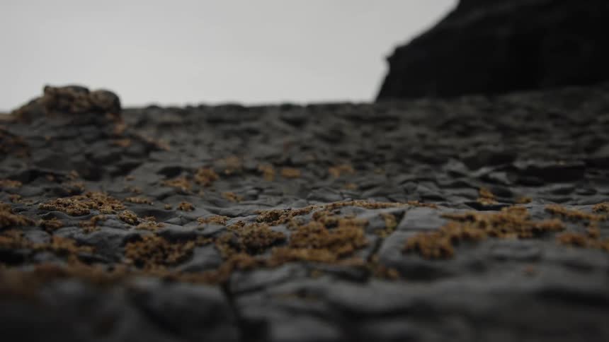 Brown vegetation dots cracked gray ground under an overcast sky