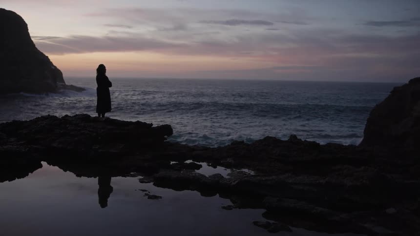 A person stands still on dark coastal rocks overlooking the vast ocean under a fading sky their form reflected in a pool of water at the base of the cliffs