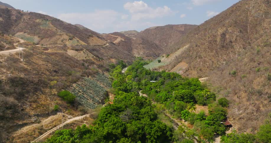 Trees are at the base of the mountain range