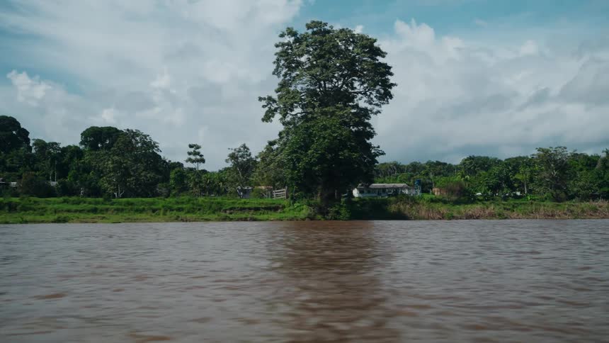 The video is a stationary eyelevel shot from a small boat traveling down a wide brown slowmoving river the riverbank is lined with lush dense green trees and vegetation under a bright partly cloudy blue sky