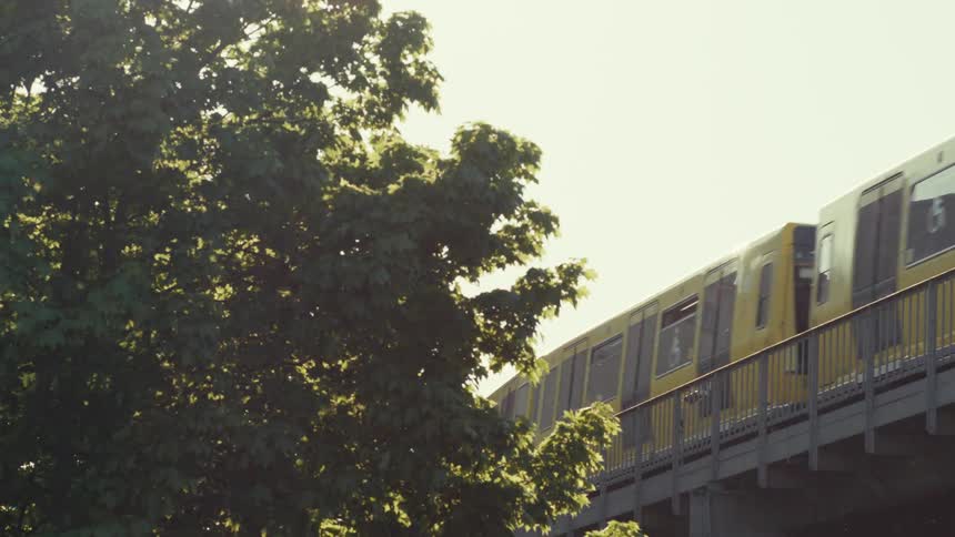 A yellow train moves across an elevated railway structure from right to left passing behind the leaves of a tree in the foreground under bright natural light