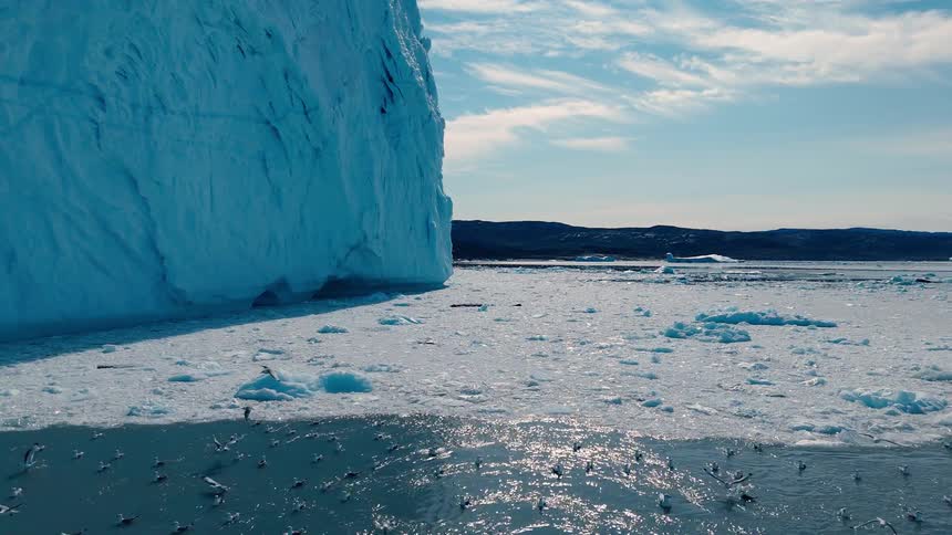 The iceberg is surrounded by birds