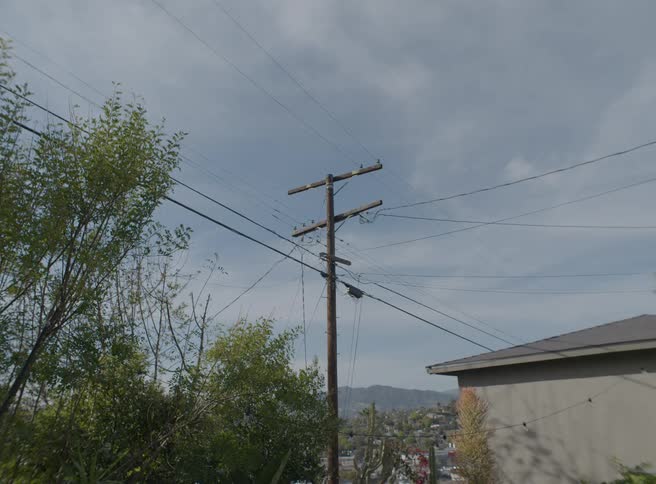 A wooden utility pole with multiple wires stands centrally against a cloudy sky framed by green tree branches on the left and the roof of a building on the right with a town and hills visible in the distance below
