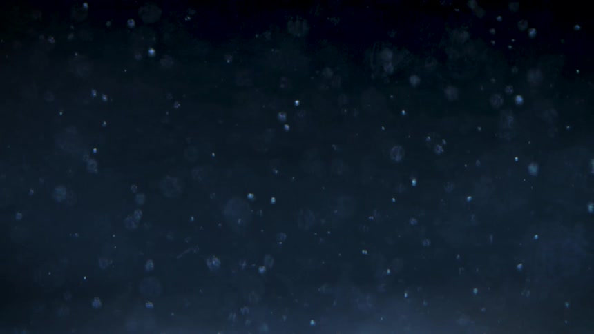 Particles sink slowly through a dark background