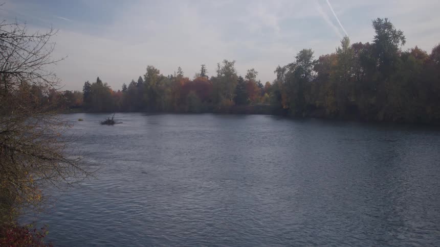 A large expanse of water fills the foreground bordered by a dense line of trees with varying shades of foliage the surface of the water rippled the sky visible above the tree line