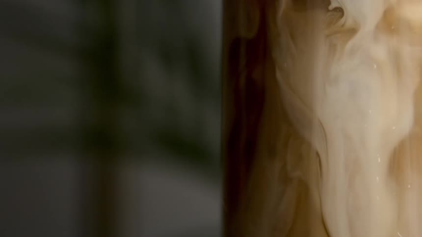 A tree trunk drips liquid from its bark deep in the forest