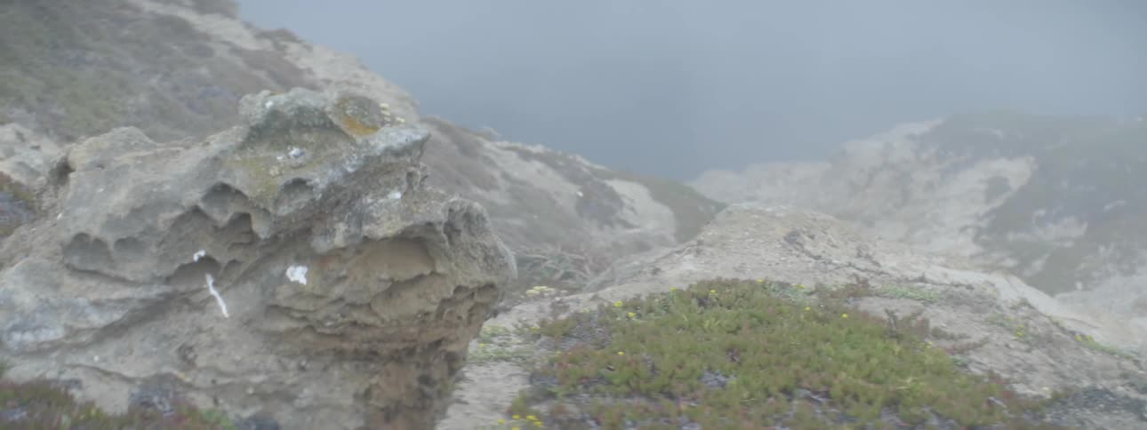 Fog is settling over this cliff