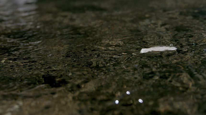 A small white object sits stationary in dark shallow water as gentle ripples flow over the textured surface catching small glints of light