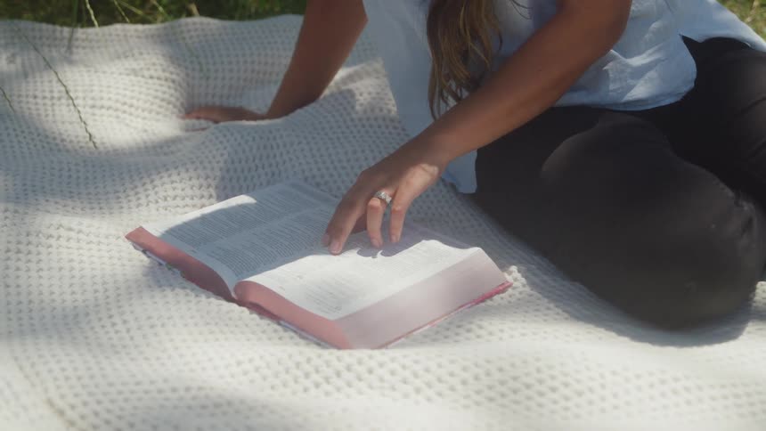 A person sits in a park reading a book under bright sunlight
