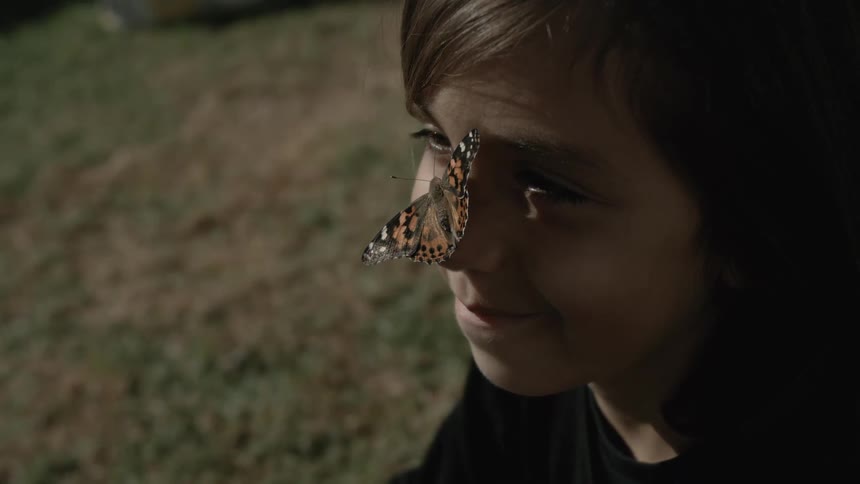 The face of a little boy with a smile on his face and a butterfly perched on his nose