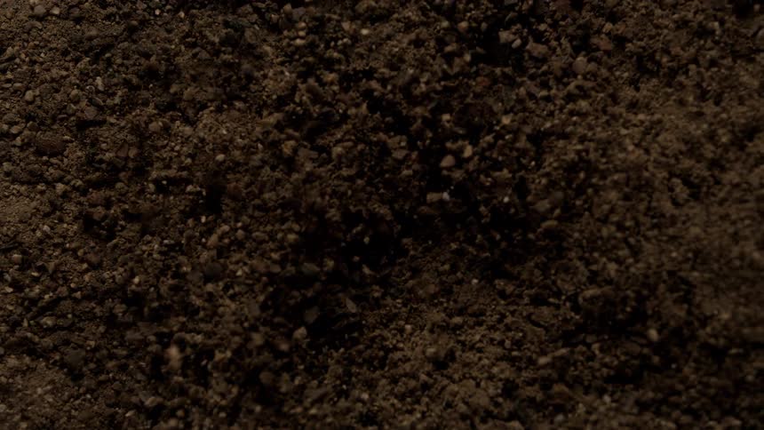 Dirt and small rocks shake and tremble sending particles into the air during the daytime