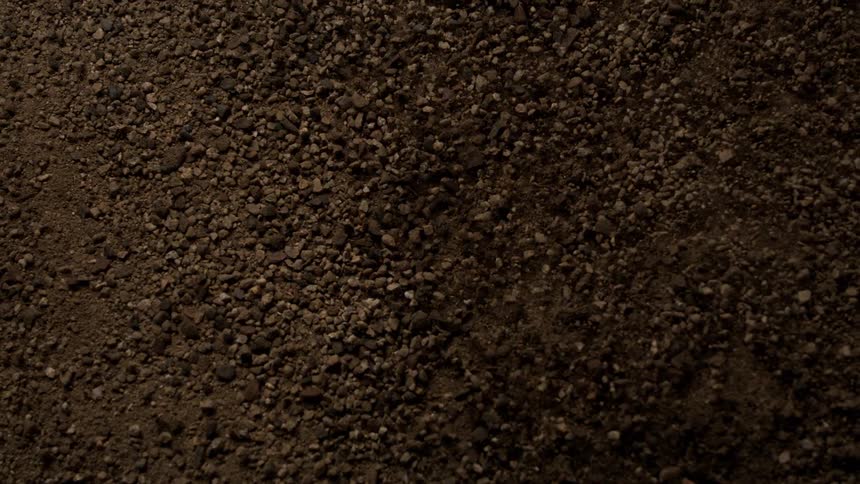 Dirt containing small rocks shakes and vibrates during the daytime