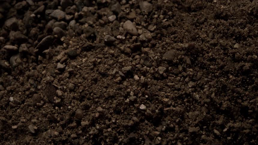 A sandy soil with several small stones that is moving and throwing several particles upwards