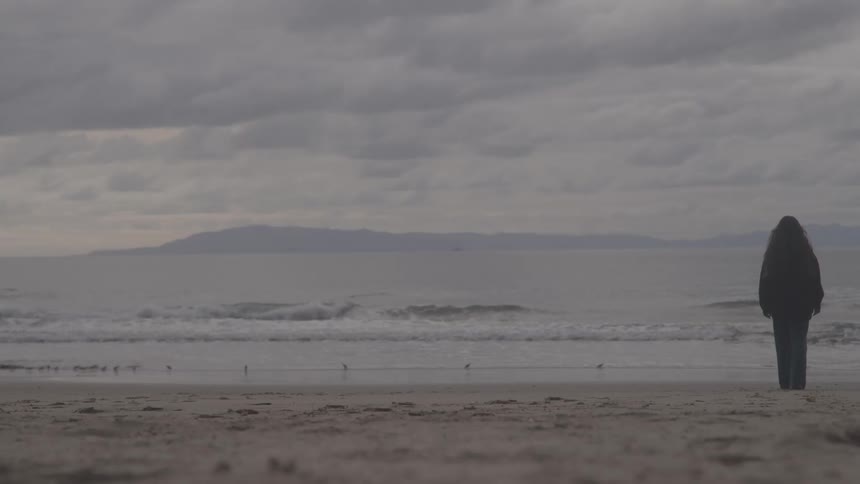 Person walking toward the water on a sandy beach under an overcast sky