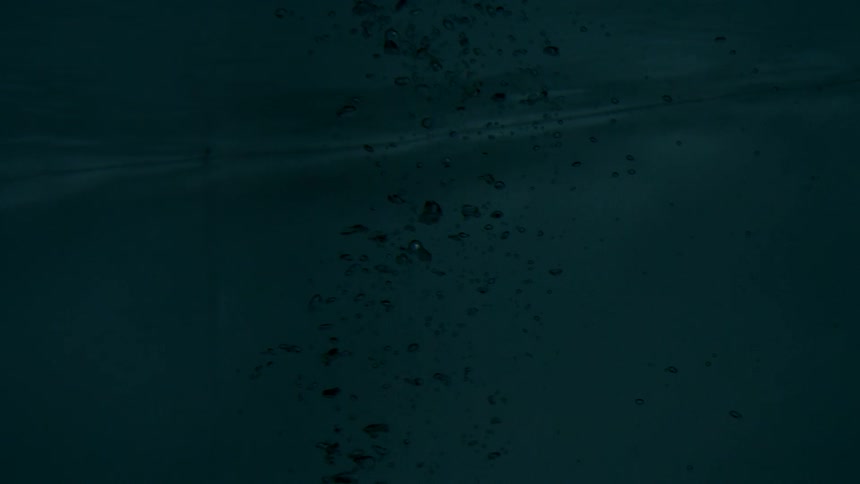 Bubbles rise through the water toward the surface