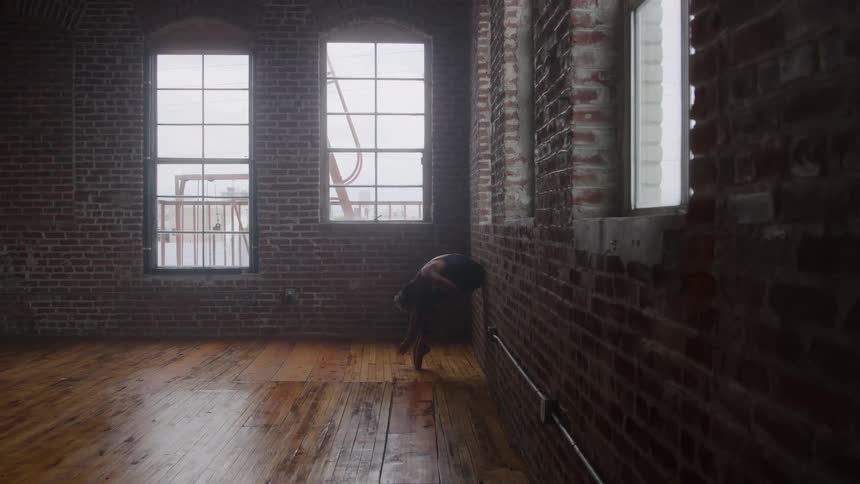 A ballerina stretches