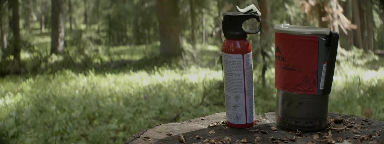 Camping supplies in a forest
