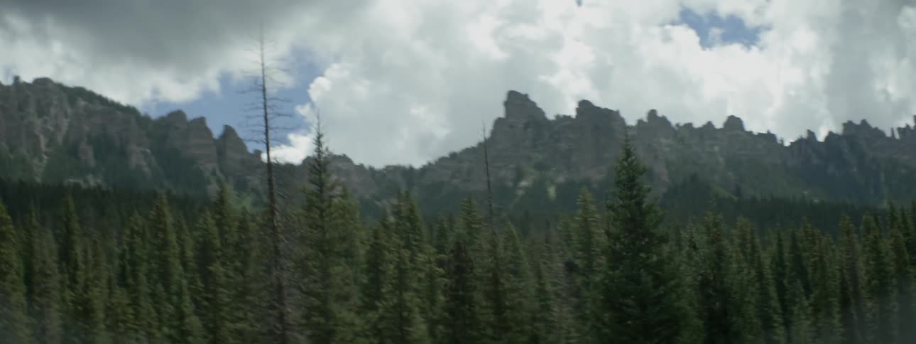 Tall trees are before this mountain