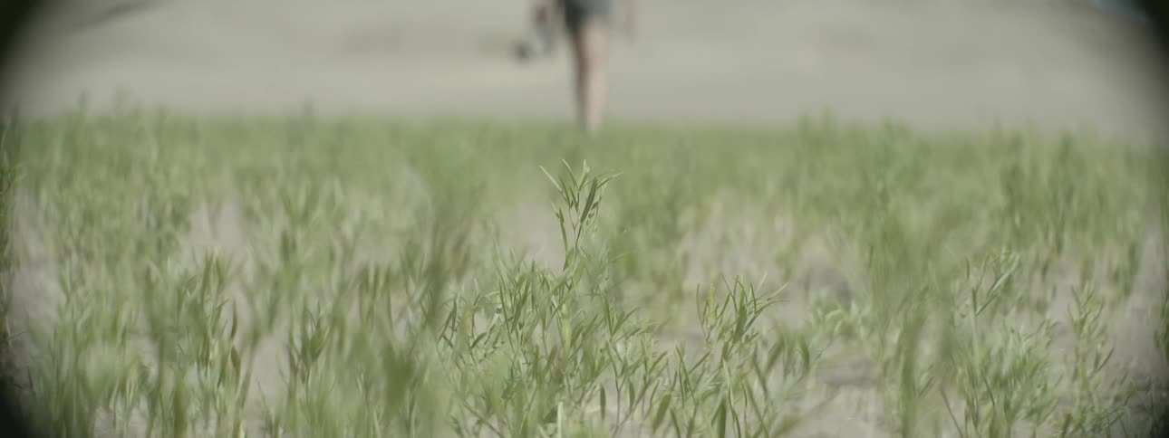 Person walking across a grassy field on sunny day