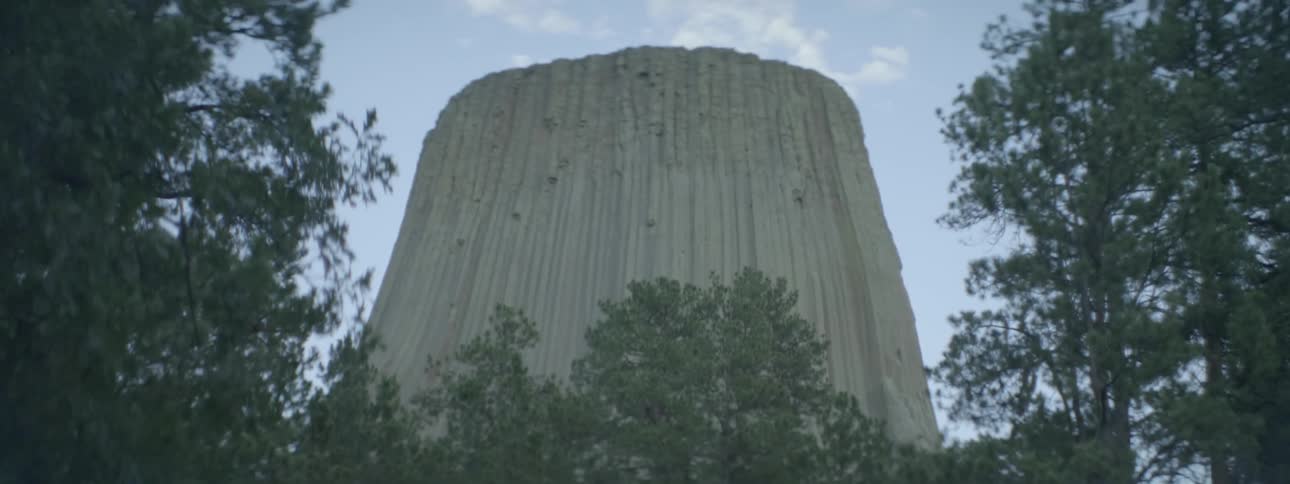 A rocky cliff towers over trees