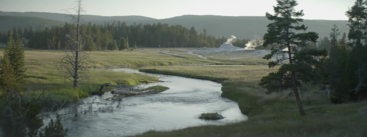 A river flows through a grassy field with forest trees in the distance