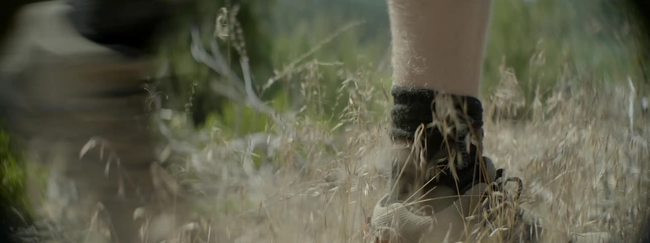 Person walking through dry weeds in the wilderness
