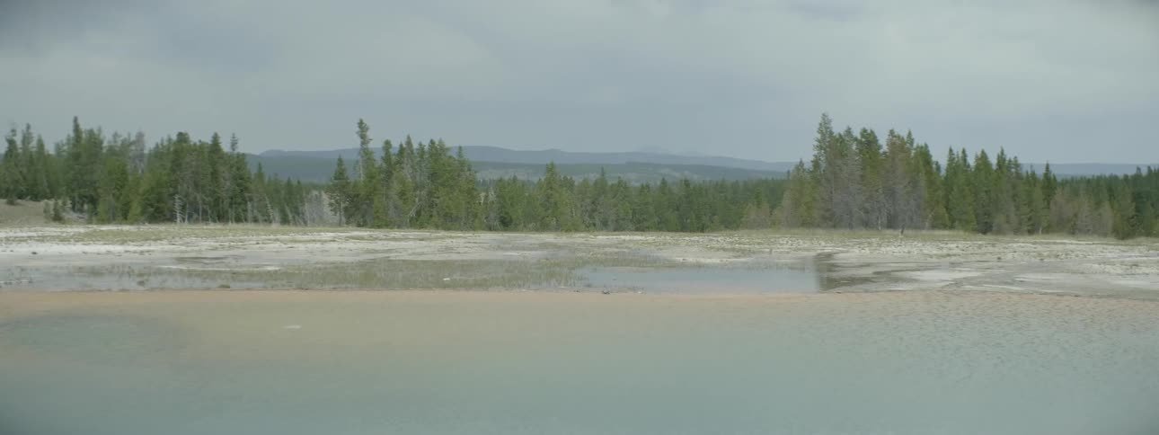 View of wetlands and trees