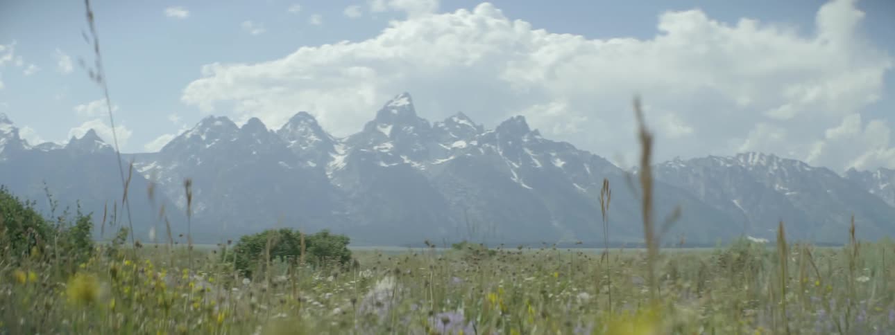 Jagged, snowy mountains near a field