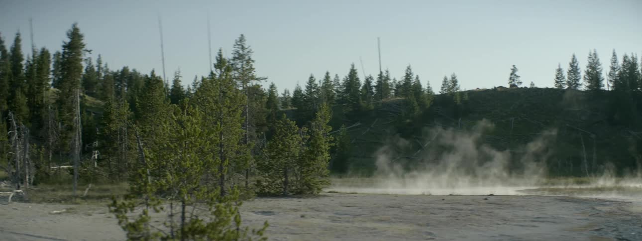Steam rises from the field ahead