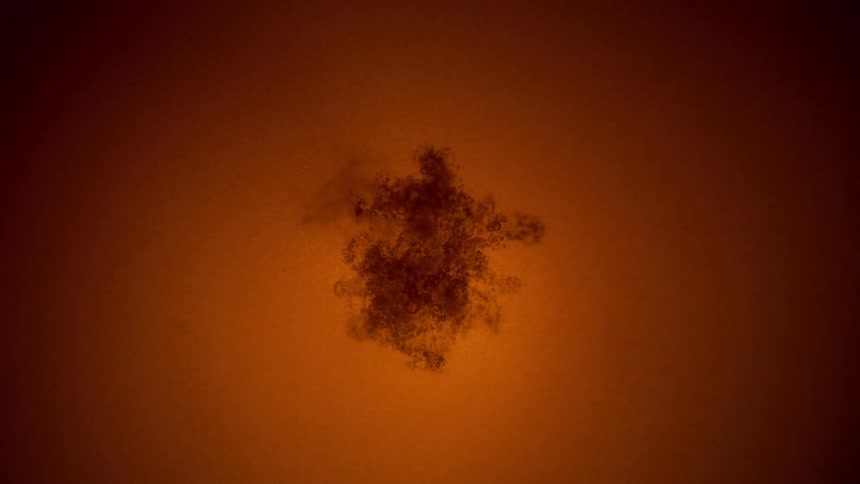 Light shines through brown liquid
