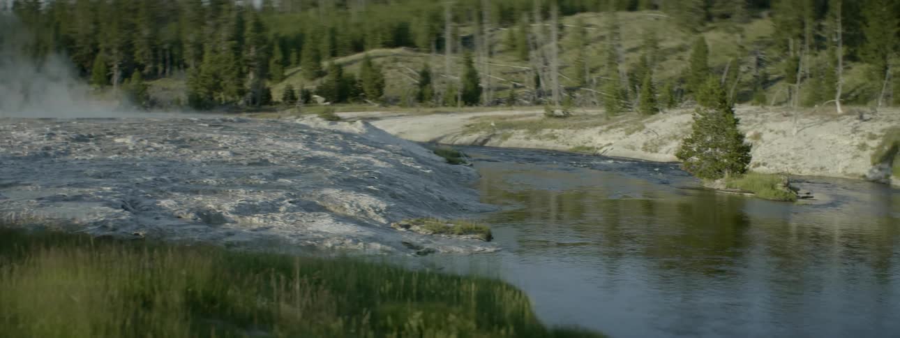 A river flows through a forested area