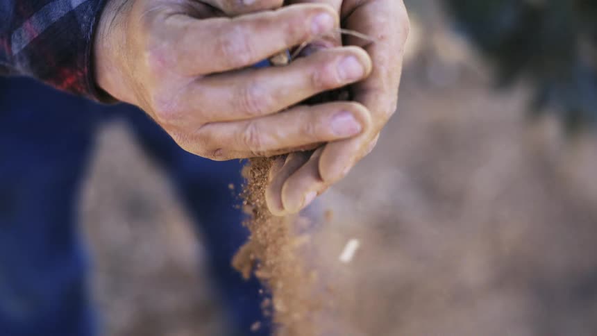 The man drops a handful of dirt