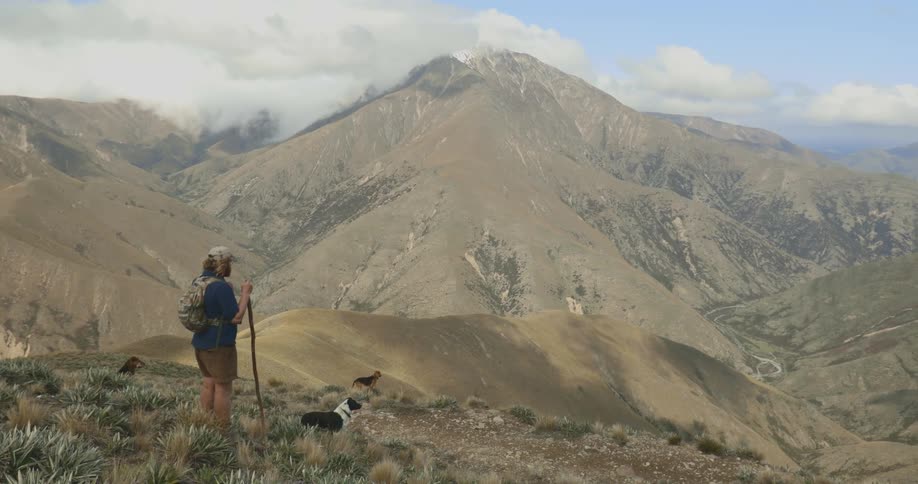 Person with backpack and walking stick observes mountainous landscape accompanied by two dogs on grassy trail