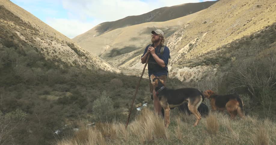 A man on a hike with his dogs takes a rest and looks around