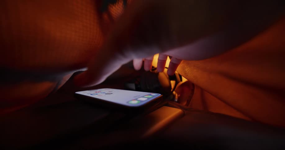 A person reaches into a bag and grabs a cellphone