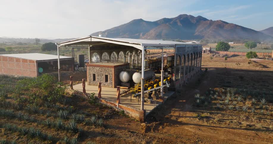 The farm is near the mountain