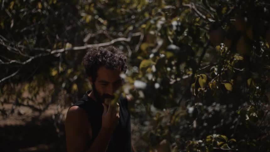 The man picks a piece of fruit from the tree and bites it
