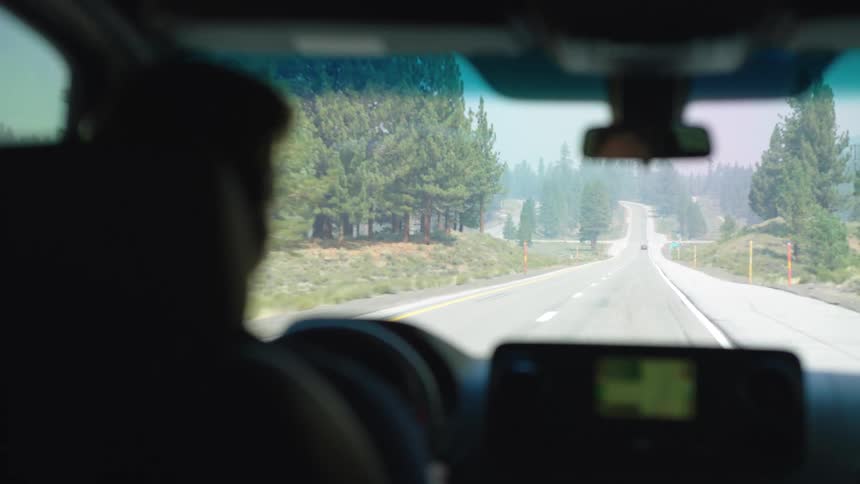 A person drives along a winding road through a forested area on a sunny day