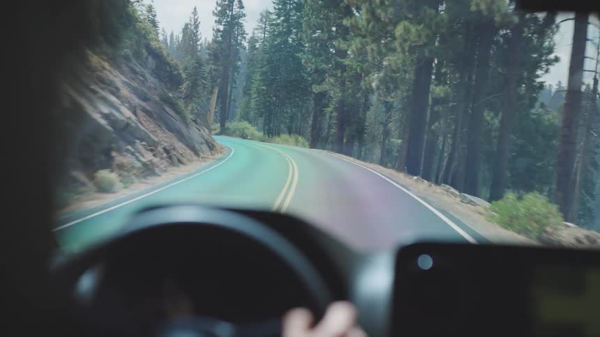 A person drives along a winding forest road on a sunny day