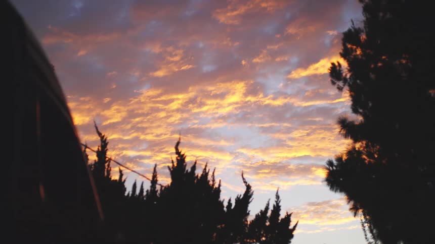 A young woman walks through the woods at sunset