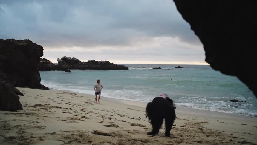 A couple plays fetch with their dog on a sandy beach at sunset by the ocean
