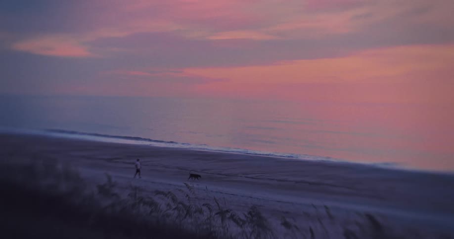 A small figure of a person is walking a dark dog on a wide quiet beach under a soft pink and purple sunset sky with the ocean waves rolling onto the sand